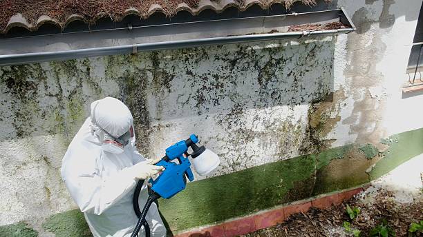 Top rated local Crawl Space Mold Remediation specialists in Westover, PA